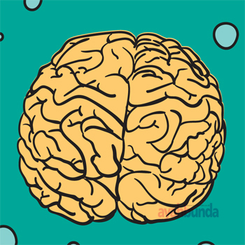 Perkembangan Otak Janin di Trimester Pertama