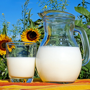 Pilih Susu Pasteurisasi atau Susu UHT?