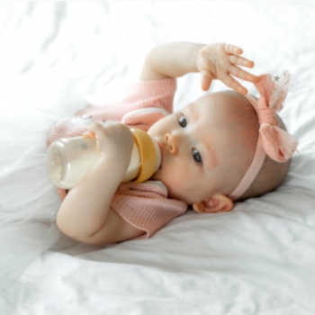 5 Sterilizer Multifungsi: Botol Susu Bebas Kuman 