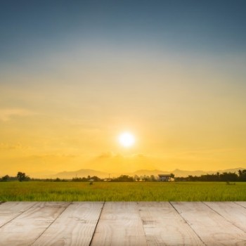 Berjemur Bisa Bunuh Virus Corona? Begini Penjelasan Ahli