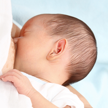 Teknik Menyusui Bayi 