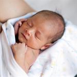  Membersihkan Telinga Bayi 