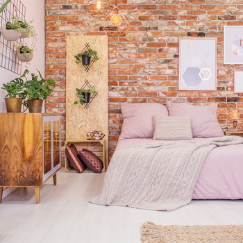 Menghias Ruangan dengan Tanaman Indoor