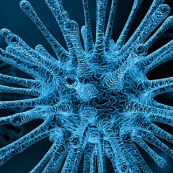 Wabah Virus Corona dan Cara Pencegahannya