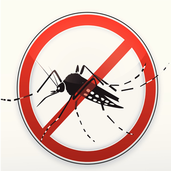 Saat Anak Dinyatakan Positif DBD, Segera Lakukan Hal ini