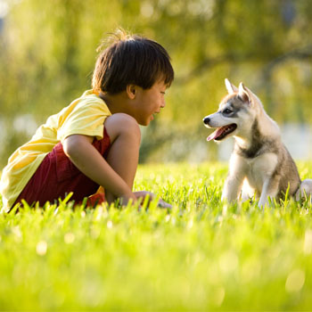 Waspadai Hewan Peliharaan Balita