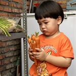 Bermain Dengan Buah dan Sayur