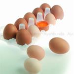 Super Food Untuk Otak Balita