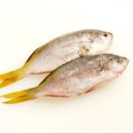 Makanan Pengganti Alergi seafood  