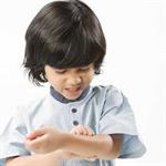 Waspada Gigitan Aneka Serangga