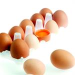 Makanan Penambah Konsentrasi  