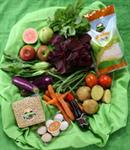 5 Kebutuhan Gizi Bayi