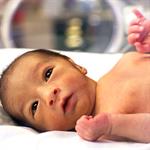 5 Hal Penting Di Awal Kehidupan Bayi 