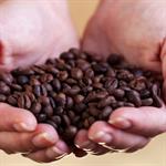 Penghalang Kesuburan 