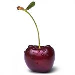 Kenal Lebih Jauh dengan CMV