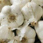 Superfood Untuk Calon Ayah