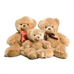 Alasan Mengikuti Program Bayi Tabung