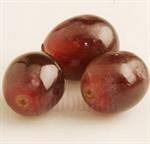 Miom Di Dinding Rahim 