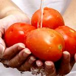 Zat Penyubur Calon Ayah