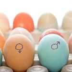 Bayi Tabung:Assisted Hatching