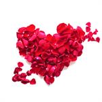 Pengobatan Kesuburan Alternatif