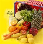 Nutrisi Penunjang Kesuburan