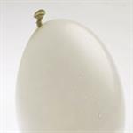 Gondongan Ancam Kualitas Sperma