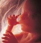 Berat Janin Terlalu Kecil 