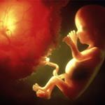 Uniknya Gerakan Janin