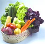 Diet Ibu Anemia Zat Besi