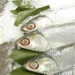 Ikan Untuk Ibu Hamil 