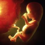 Janin Bisa Mendengar