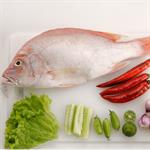 Makanan Aman Ibu Hamil