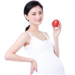 Selera Makan Trimester Ibu Hamil