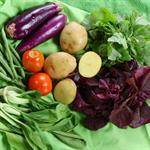 Sehatnya Makanan Organik Bagi Kehamilan