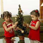 Pohon Natal Ajarkan Banyak Hal