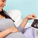 Membuat Jurnal Kehamilan