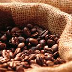 Kopi untuk Kejang Demam