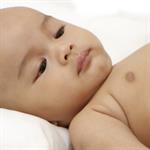 Buah Zakar Berbintik