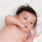 Kulit Bayi Alergi Gigitan Serangga