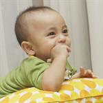 Perkembangan Bayi 1 Tahun