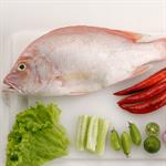 Jenis Ikan yang Bisa Diberikan pada Bayi