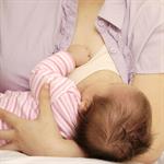 Menyusu Hingga 5 Jam