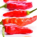 Risiko Cabai Bagi Janin