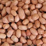 Makanan Pengganti Alergi kacang  