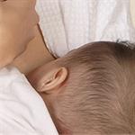 Persiapan Agar Sukses Menyusui