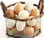 Cara Aman Makan Telur