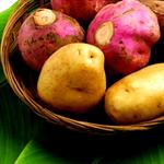 Eksperimen Rasa Makanan Baru