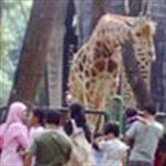 6 Tempat Rekreasi Di Jakarta